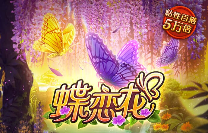 bob全站手机客户端下载地址